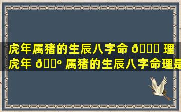 虎年属猪的生辰八字命 🐈 理「虎年 🐺 属猪的生辰八字命理是什么」